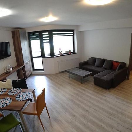 Riky Apart Mountain View Apartment Sinaia Exterior foto