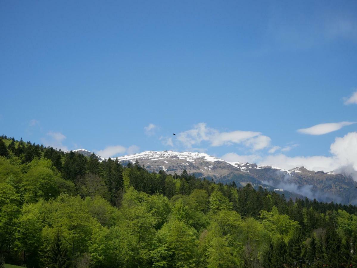 Riky Apart Mountain View Apartment Sinaia Exterior foto