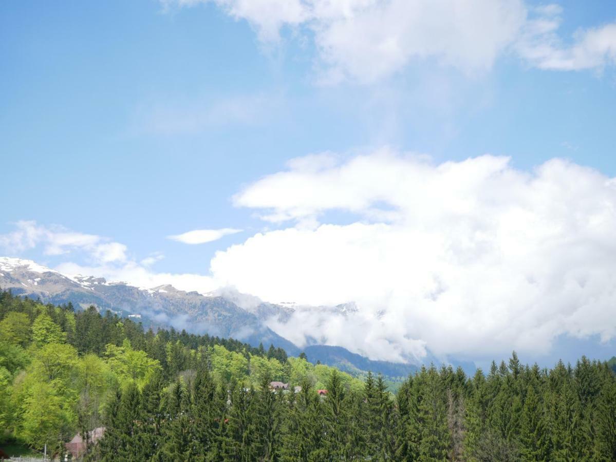 Riky Apart Mountain View Apartment Sinaia Exterior foto