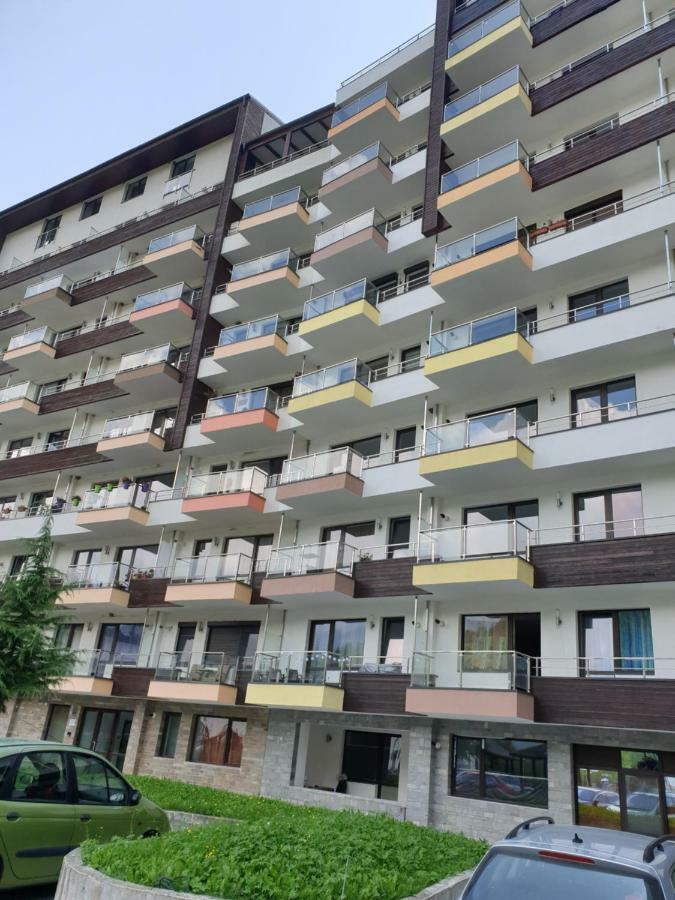 Riky Apart Mountain View Apartment Sinaia Exterior foto