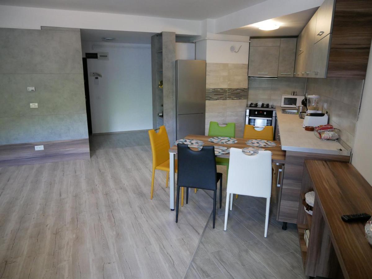 Riky Apart Mountain View Apartment Sinaia Exterior foto