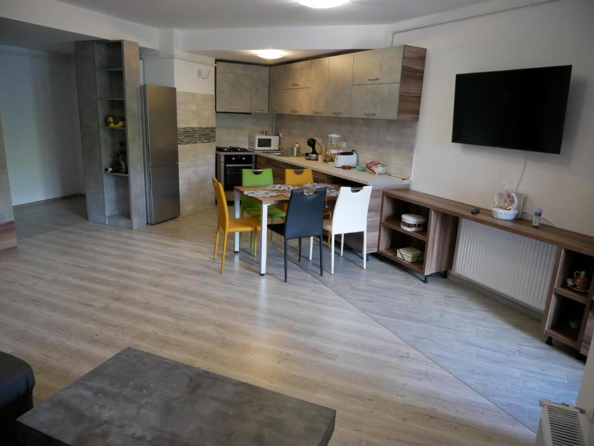 Riky Apart Mountain View Apartment Sinaia Exterior foto