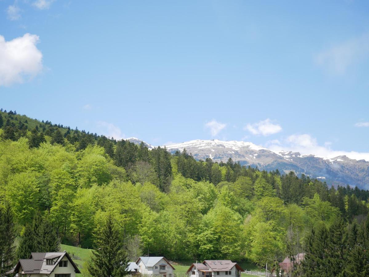 Riky Apart Mountain View Apartment Sinaia Exterior foto