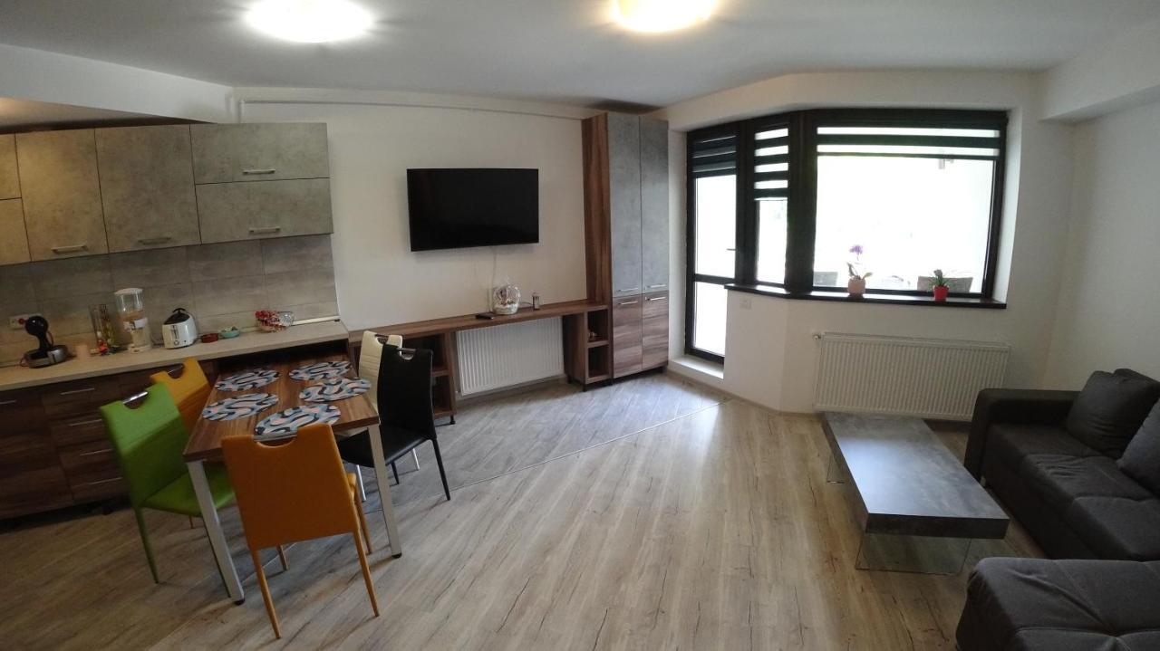 Riky Apart Mountain View Apartment Sinaia Exterior foto