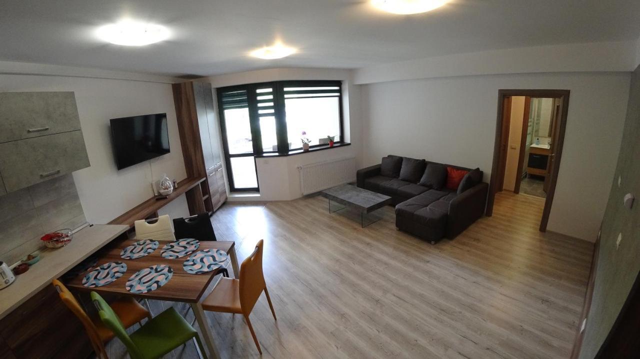 Riky Apart Mountain View Apartment Sinaia Exterior foto